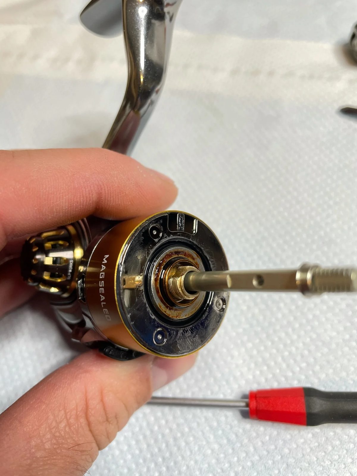 Baitcaster mit ausgebauten Kugellagern